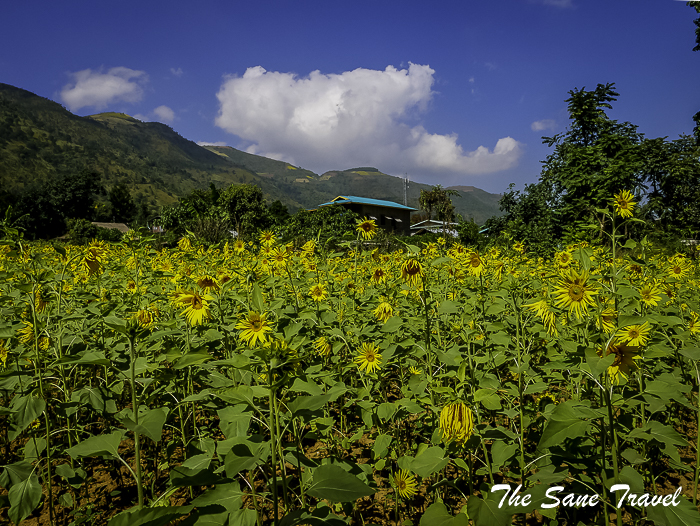 106hot springs bycicle inle thesanetravel.com 1600790