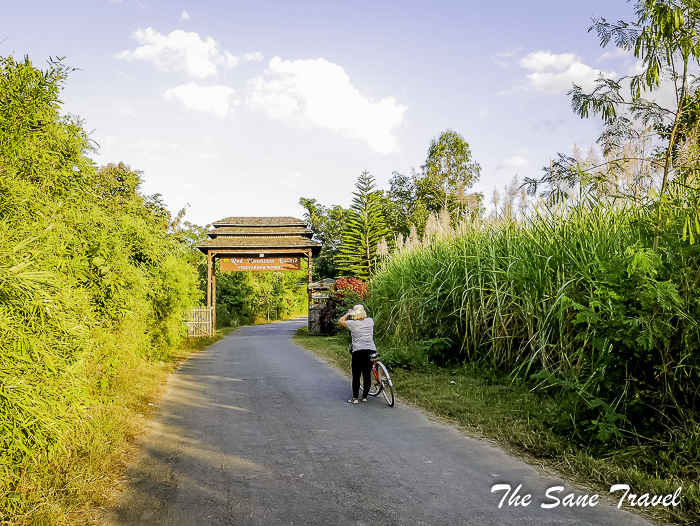 131winery bycicle inle thesanetravel.com 1600959