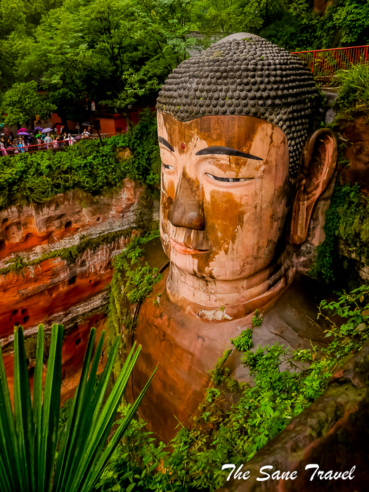 18 leshan buddha china thesanetravel.com 1010372
