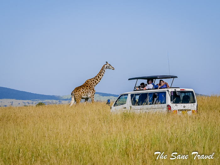 opiniones safari kenya