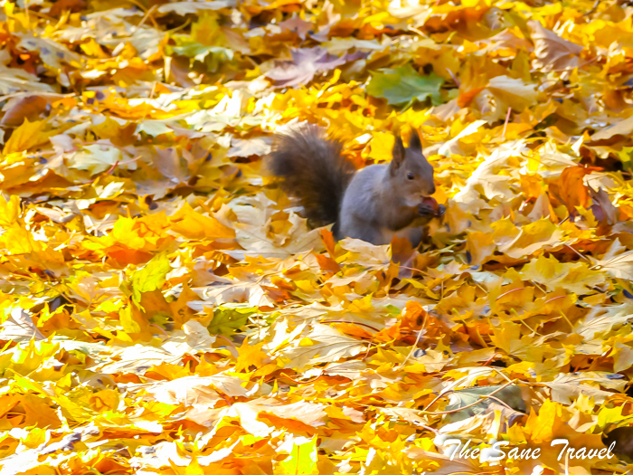 kupala park minsk belarus www.thesanetravel.com 1570998
