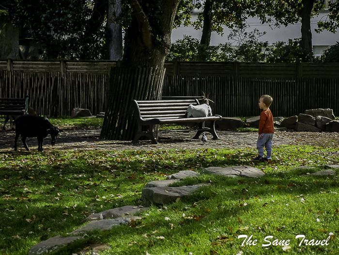 63 nantes france thesanetravel.com 1570034