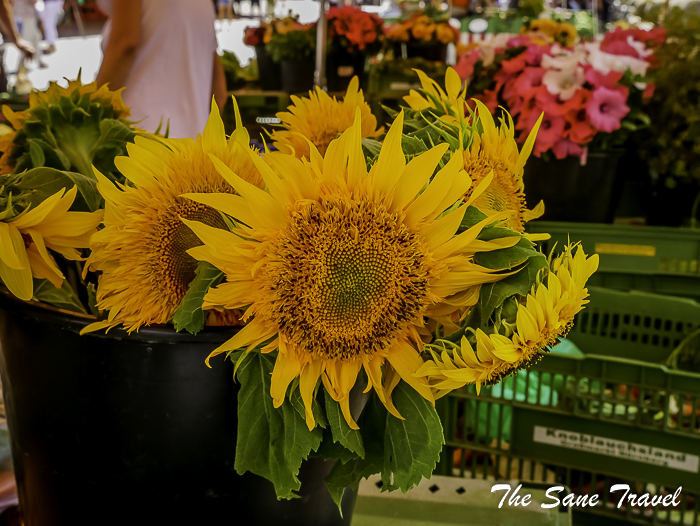 11 nuremberg thesanetravel.com 1510842