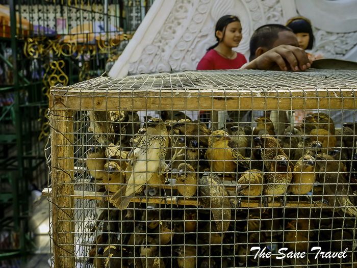 19shwedagon pagoda yangon thesanetravel.com 1590684