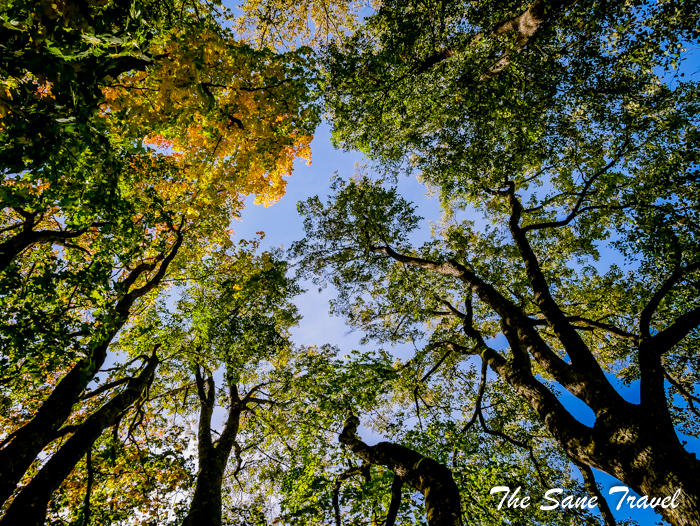 sigulda latvia www.thesanetravel.com 1140534