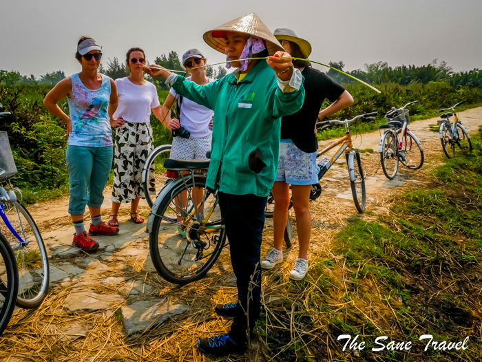 cycle tours hoi an