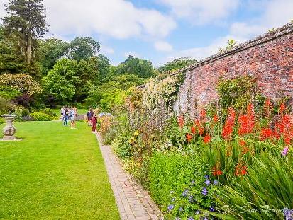 7 stunning gardens to add to your Cornwall travel itinerary