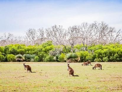 Perfect two-day road trip itinerary for discovering Kangaroo Island